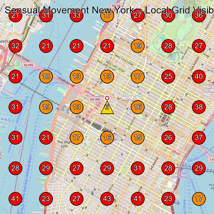 Sensual Movement New York GeoGrid visibility map for Dance School in New York